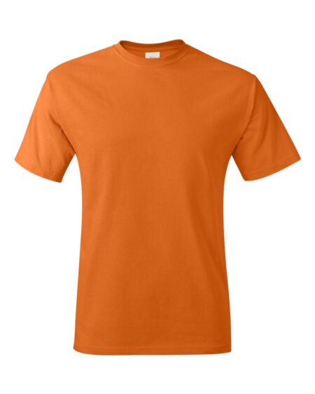 Hanes 5250 Unisex Authentic T-Shirt