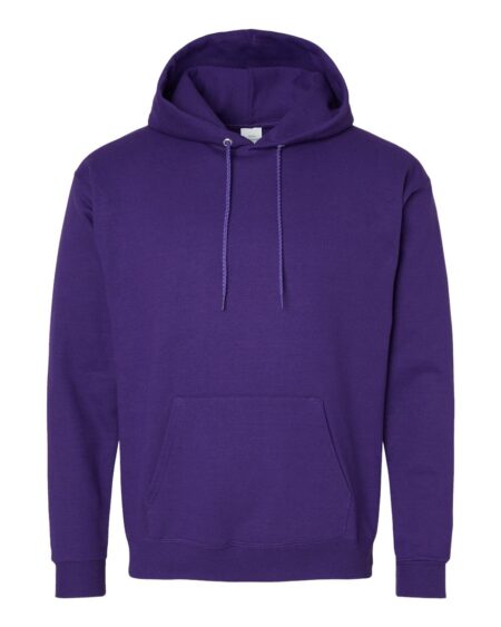 Hanes P170 Unisex EcoSmart® Hooded Sweatshirt
