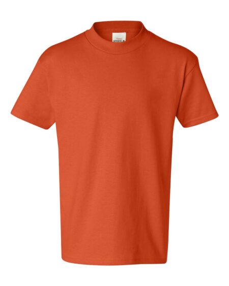 Hanes 5450 Youth Authentic T-Shirt